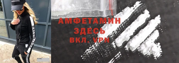 гидра Аркадак