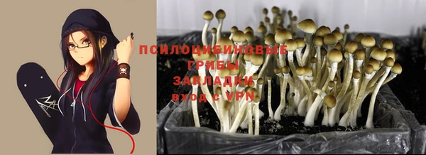 мескалин Арсеньев