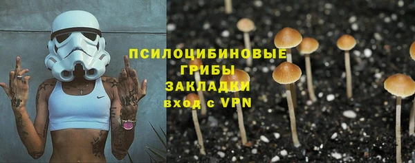 гидра Аркадак