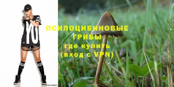 мескалин Арсеньев