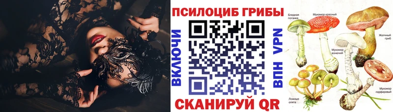 Купить где  Мценск  Псилоцибиновые грибы Cubensis 